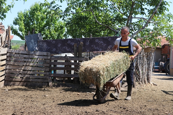 Foto - Devlet desteğiyle genç yaşta sürü sahibi oldu