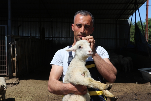 Foto - Devlet desteğiyle genç yaşta sürü sahibi oldu