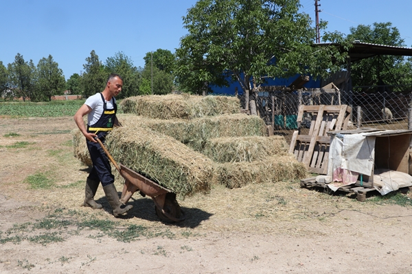 Foto - Devlet desteğiyle genç yaşta sürü sahibi oldu