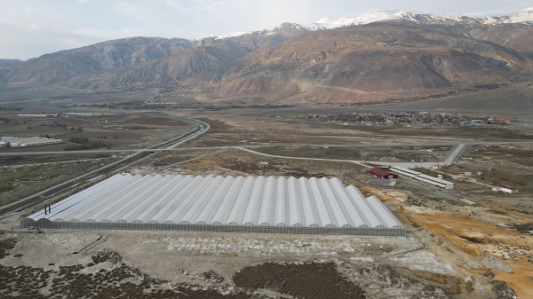 Foto - Devlet desteğiyle kuruldu! Sezonda 1000 ton domates üretilecek