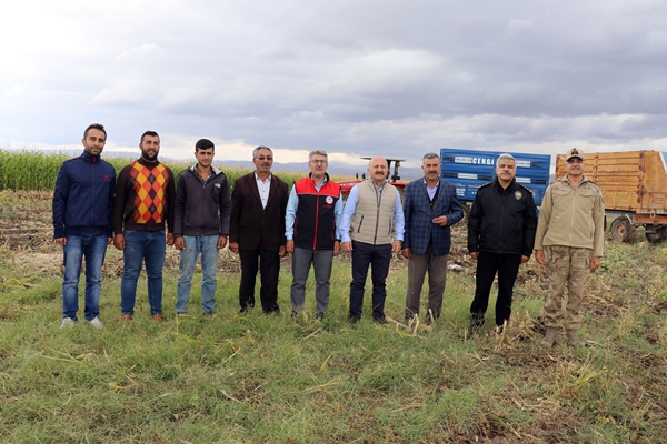 Foto - Devlet desteğiyle mısır yetiştiriciliği yaygınlaşıyor