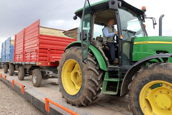 Foto - Devlet desteğiyle mısır yetiştiriciliği yaygınlaşıyor