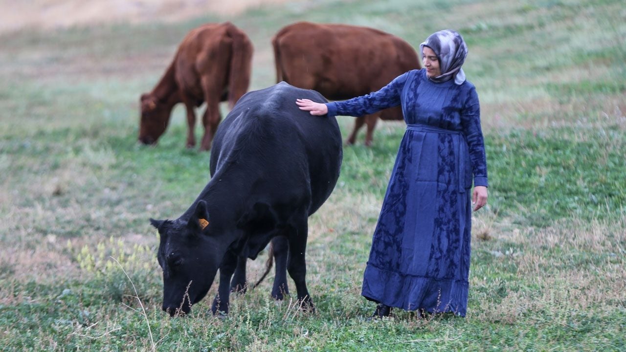 Foto - Devlet desteğiyle sürülerini ikiye katladılar! Vanlı kadınlar üretimde söz sahibi oluyor