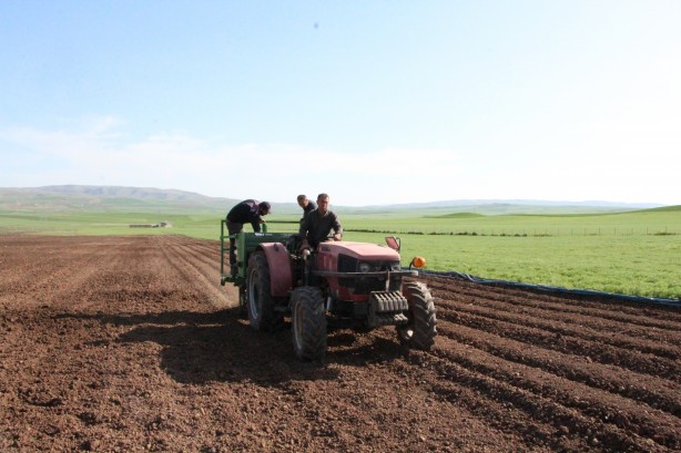 Foto - Devlet destek verdi! Siirt’ten Türkiye ekonomisine dev katkı
