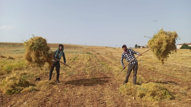 Devlet destek verdi! Siirt’ten Türkiye ekonomisine dev katkı