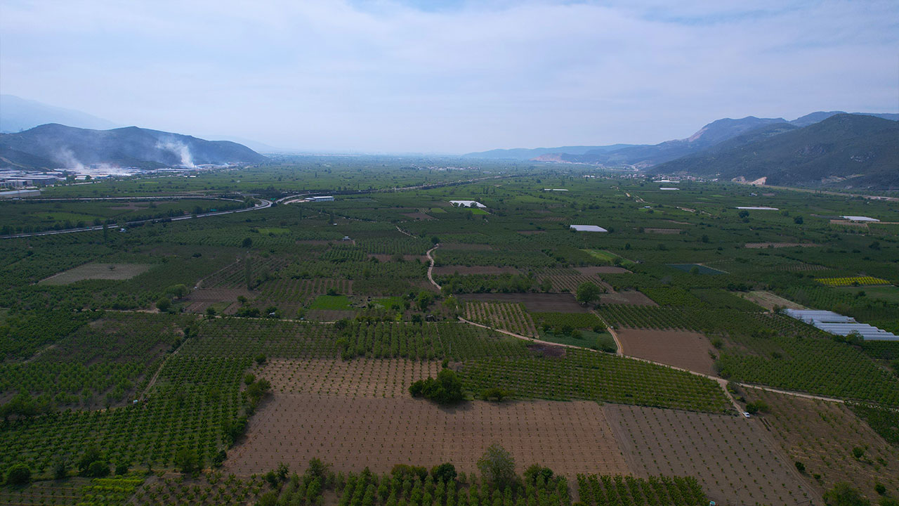 Foto - "Devlet el koyacak" diyerek vatandaşlara korku salmışlardı... Gerçek çok başka çıktı!
