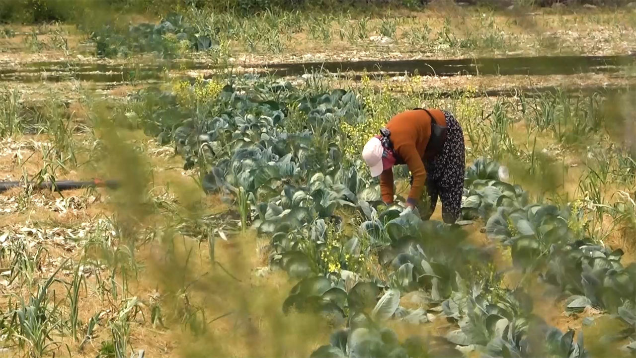 "Devlet el koyacak" diyerek vatandaşlara korku salmışlardı... Gerçek çok başka çıktı!
