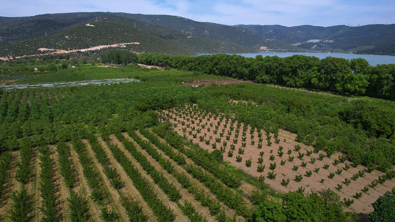 Foto - "Devlet el koyacak" diyerek vatandaşlara korku salmışlardı... Gerçek çok başka çıktı!