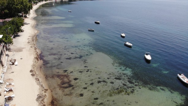Foto - Devlet korumasındaki deniz çayırlarını söken operatöre dudak uçuklatan ceza