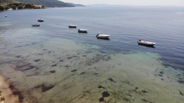 Devlet korumasındaki deniz çayırlarını söken operatöre dudak uçuklatan ceza
