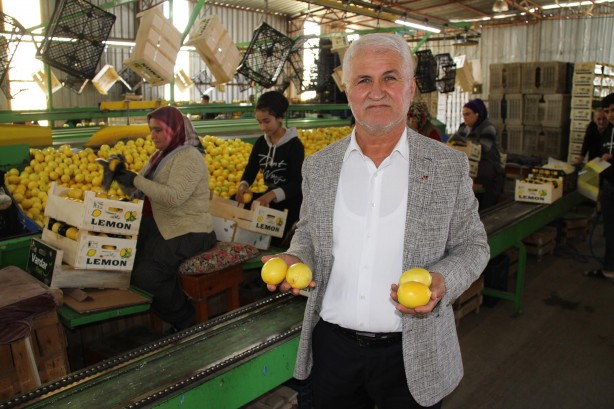 Foto - Devlet ton başına 1000 TL veriyor! Üreticiler bayram etti