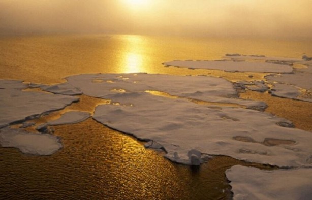 Foto - Devlet yetkilileri vatandaşlarına duyurdu! 2100 yılında o ülkenin sonu gelecek