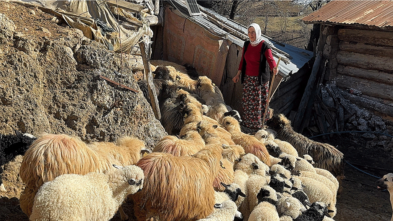 Foto - Devletin verdiği desteği üçe katladı