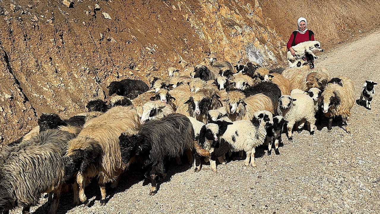 Foto - Devletin verdiği desteği üçe katladı