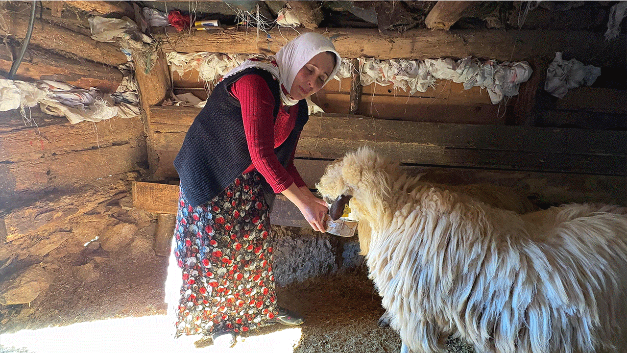 Foto - Devletin verdiği desteği üçe katladı