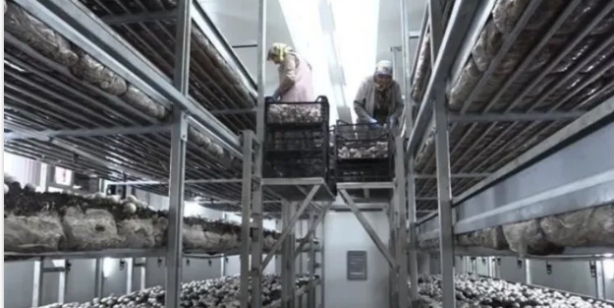 Devletten 2 milyon lira hibe aldı! Şimdi paraya para demiyor