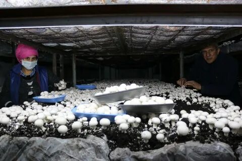 Foto - Devletten 2 milyon lira hibe aldı! Şimdi paraya para demiyor