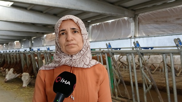Foto - Devletten destek aldı 700 litre süt üretiyor