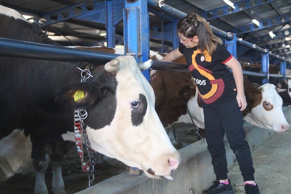 Foto - Devletten destek aldı! Babasından kalan ahıra 5.8 milyon lira yatırım yaptı