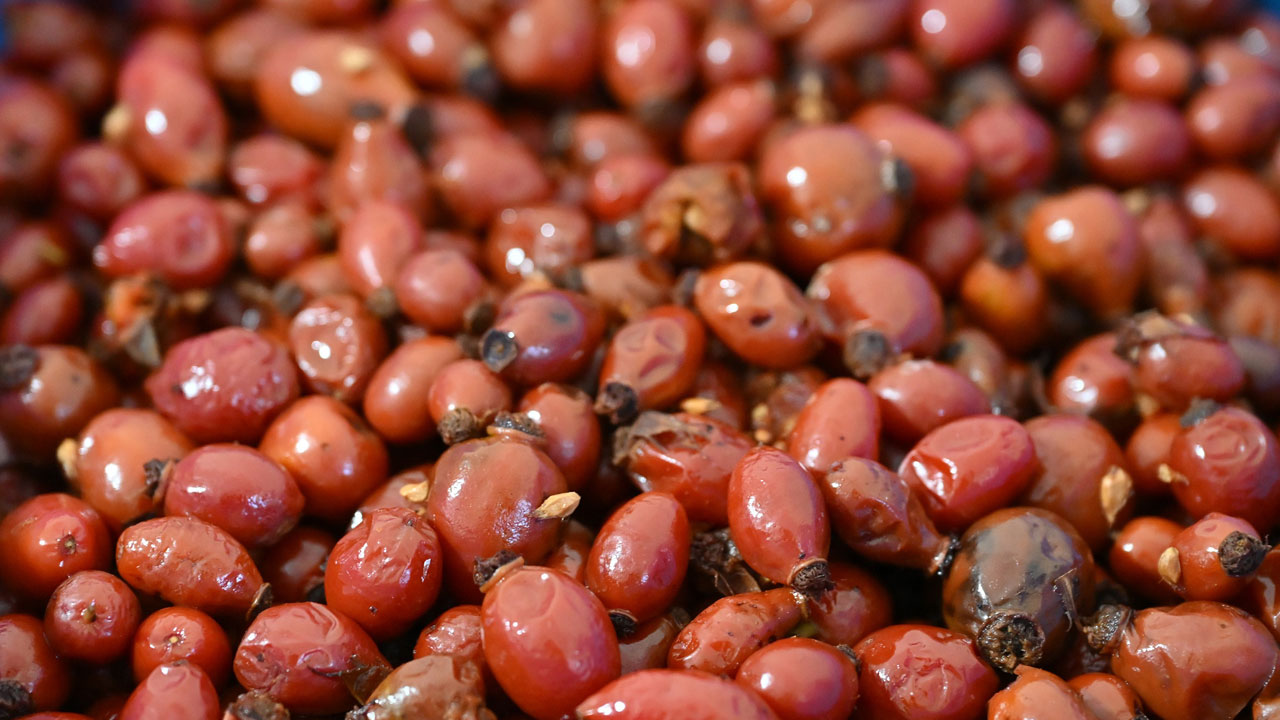 Foto - Dikenli dallardan kavanozlara! 100 gramı bir kasa portakala bedel