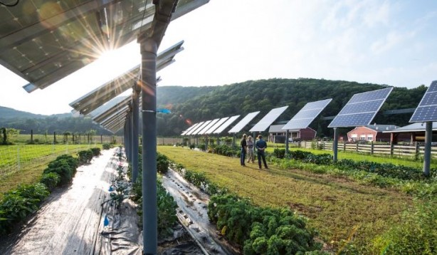 Foto - Dikey güneş panelleri! ABD'de bir ilk