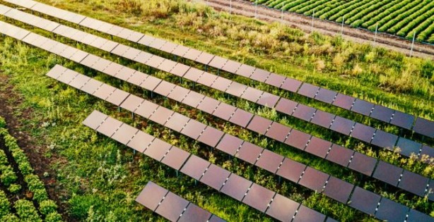 Foto - Dikey güneş panelleri! ABD'de bir ilk