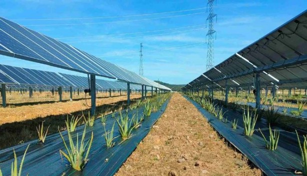 Foto - Dikey güneş panelleri! ABD'de bir ilk