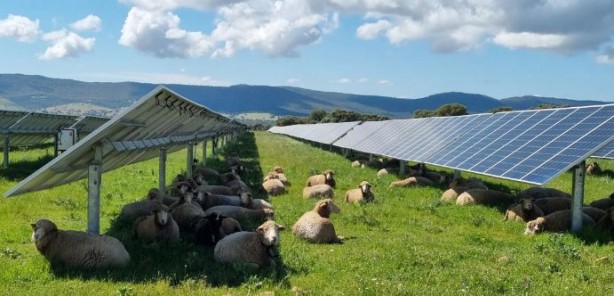 Foto - Dikey güneş panelleri! ABD'de bir ilk
