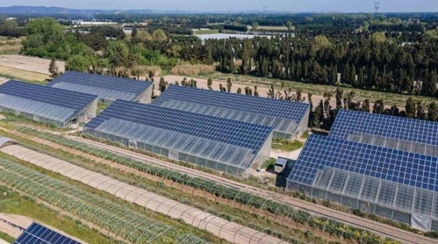 Foto - Dikey güneş panelleri! ABD'de bir ilk