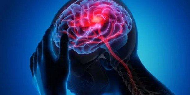 Dikkat! Beynin üretkenliğini çoğaldırıyor! İngiliz uzmanlar duyurdu: Dünyadaki birkaç önemli besin