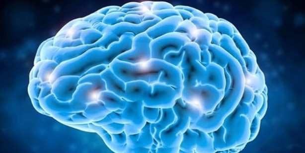Foto - Dikkat! Beynin üretkenliğini çoğaldırıyor! İngiliz uzmanlar duyurdu: Dünyadaki birkaç önemli besin