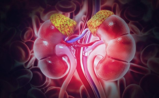 Foto - Dikkat! Bu 12 belirti varsa böbrekleriniz iflas ediyor olabilir