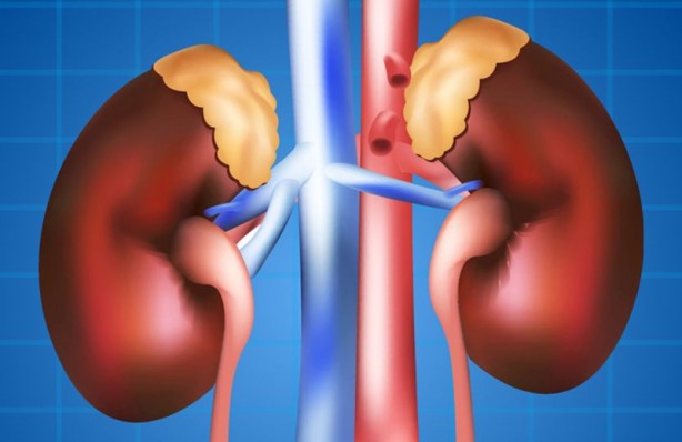 Foto - Dikkat! Bu 12 belirti varsa böbrekleriniz iflas ediyor olabilir