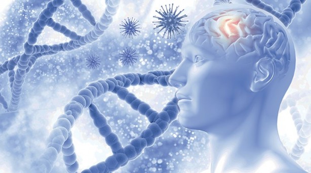 Foto - Dikkat! Bu beslenme tarzı, Alzheimer'ı hızlandırıyor