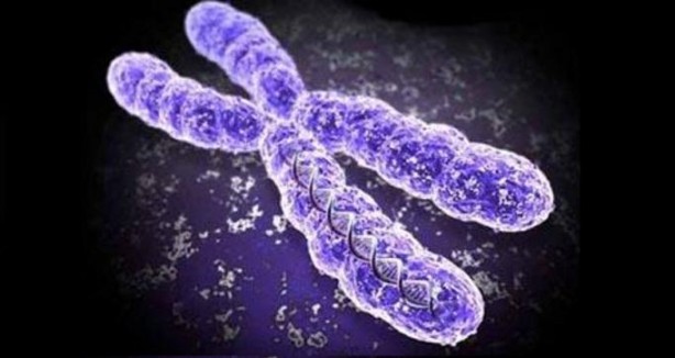 Foto - Dikkat! Bu beslenme tarzı, Alzheimer'ı hızlandırıyor