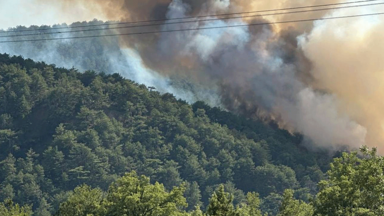Foto - Dikkat bu işin bahanesi yok: Orman yangını çıkarana 3 yıl ceza!