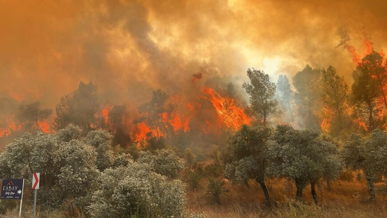 Foto - Dikkat bu işin bahanesi yok: Orman yangını çıkarana 3 yıl ceza!