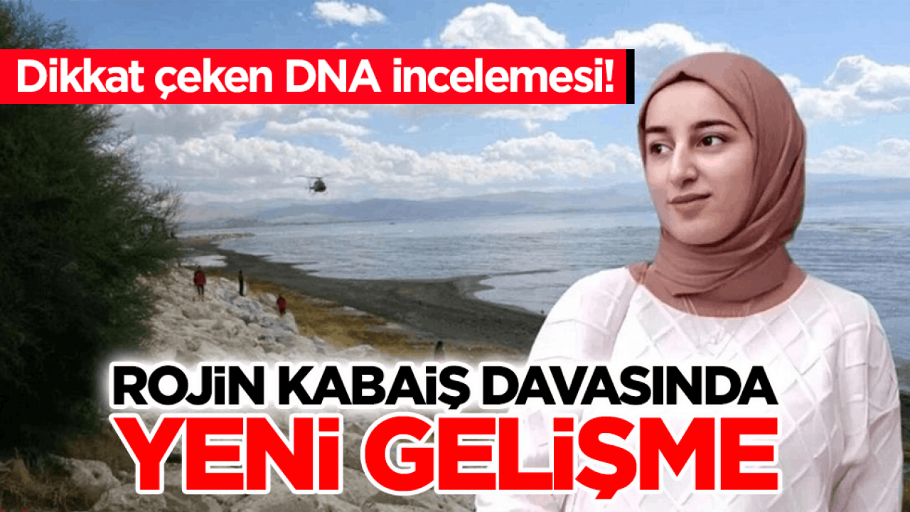 Dikkat çeken DNA incelemesi! Rojin Kabaiş davasında yeni gelişme