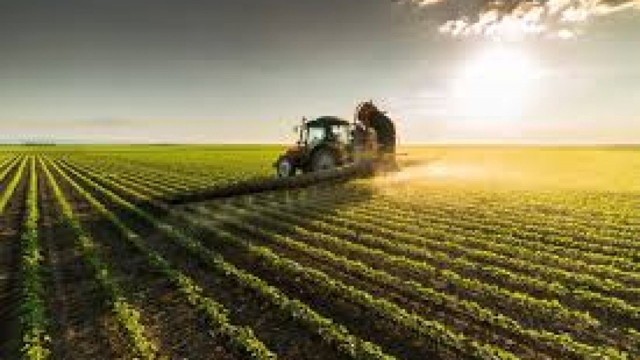 Foto - Dikkat çeken karar: Türkiye yerine Kazakistan tarımına yatırım yapıldı