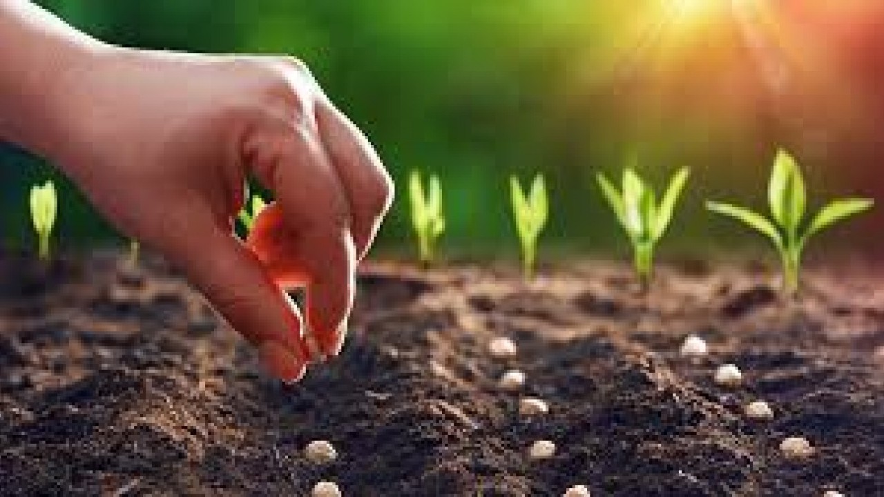 Foto - Dikkat çeken karar: Türkiye yerine Kazakistan tarımına yatırım yapıldı