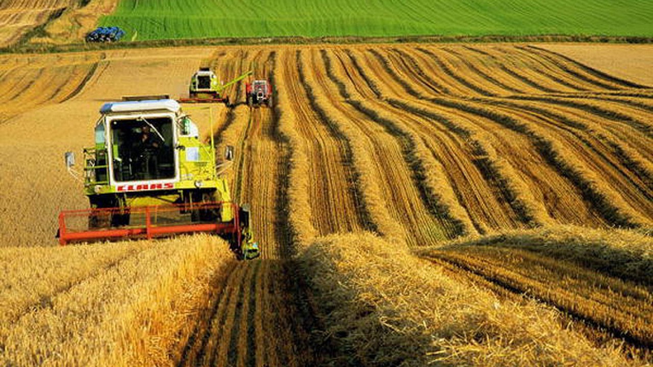 Foto - Dikkat çeken karar: Türkiye yerine Kazakistan tarımına yatırım yapıldı