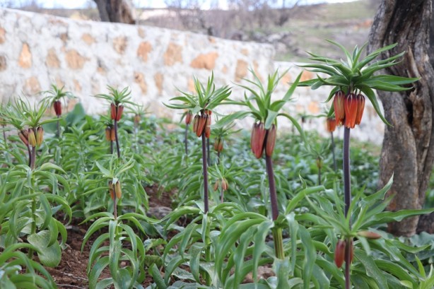 Dikkat! Cezası 109 bin 593 lira