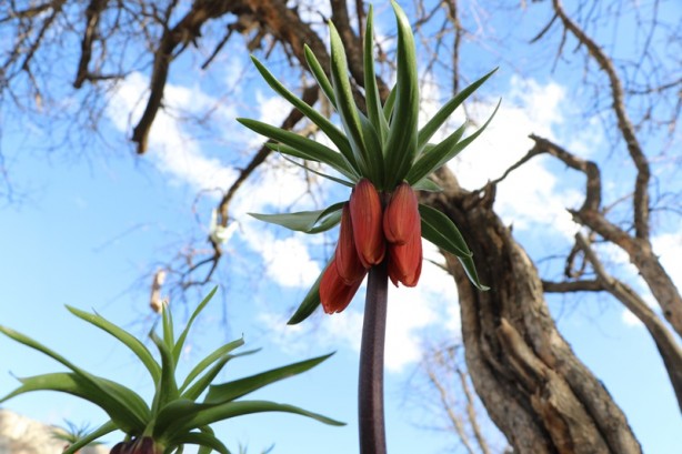Foto - Dikkat! Cezası 109 bin 593 lira