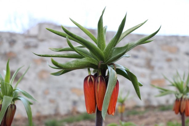 Foto - Dikkat! Cezası 109 bin 593 lira