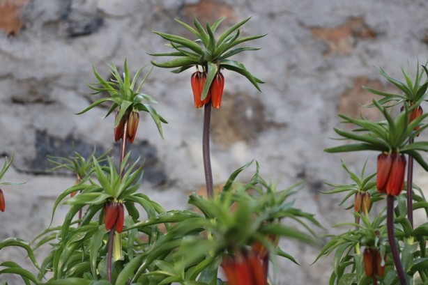 Foto - Dikkat! Cezası 109 bin 593 lira