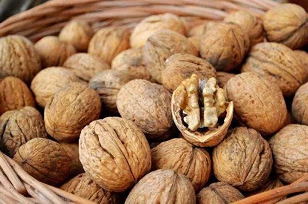 Foto - Dikkat çok tehlikeli! İlaç kullananlar bu besinlerden uzak dursun