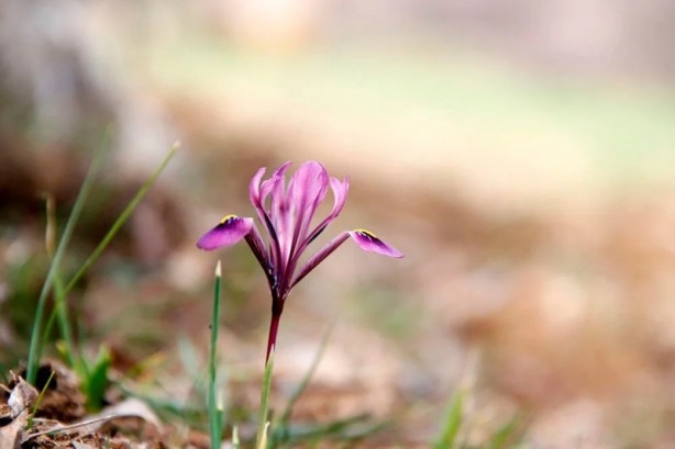 Foto - Dikkat! Koparmanın cezası 109 bin lira