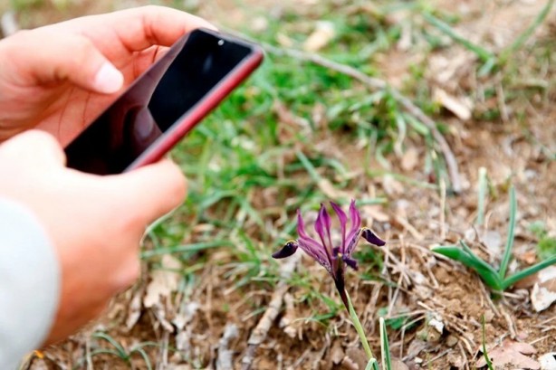 Foto - Dikkat! Koparmanın cezası 109 bin lira
