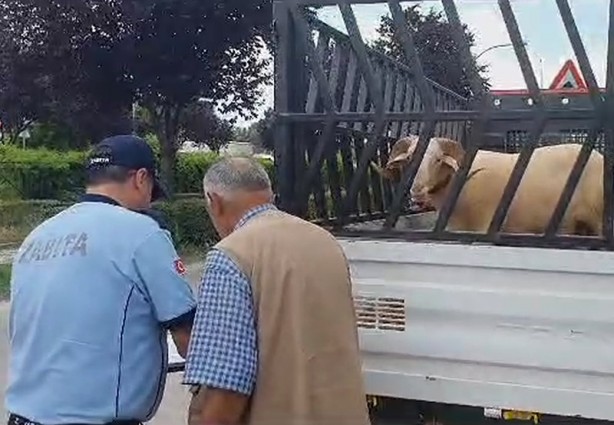 Foto - Dikkat! Kurban bayramında bunu yapanlara ceza