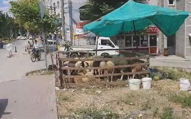 Foto - Dikkat! Kurban bayramında bunu yapanlara ceza